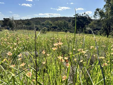 Property 26 Eucalypt Bend, WUNDOWIE WA 6560 IMAGE 0