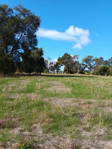 Property Lot 134 O'Driscoll Street, BAKERS HILL WA 6562 IMAGE 0