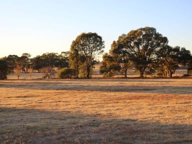 Property 28 Deas Lane, Rutherglen VIC 3685 IMAGE 0