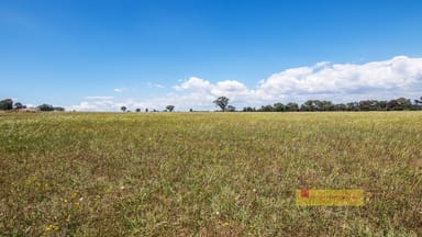 Property 215 Black Lead Lane, Gulgong NSW 2852 IMAGE 0