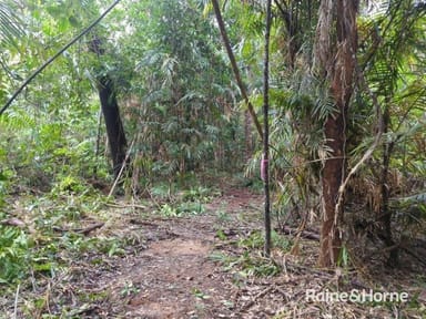 Property Lot 246 White Beech Road, Cow Bay QLD 4873 IMAGE 0