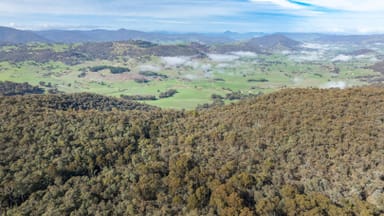 Property . Firebrace Track, Bullioh VIC 3700 IMAGE 0