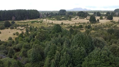 Property 891 Waratah Road, WARATAH TAS 7321 IMAGE 0