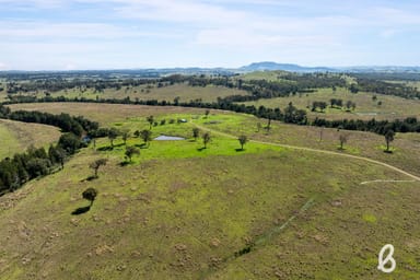 Property Lot 101 & 103 Glendonbrook Road, Singleton NSW 2330 IMAGE 0