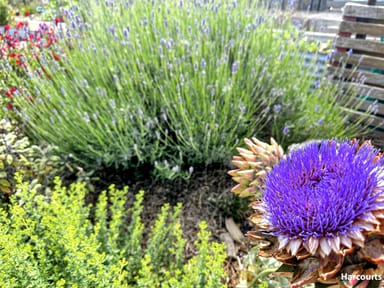Property 25 Reedy Road, Beaumaris TAS 7215 IMAGE 0