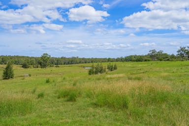 Property Lot 4 Green Wattle Creek Road, BUTTERWICK NSW 2321 IMAGE 0