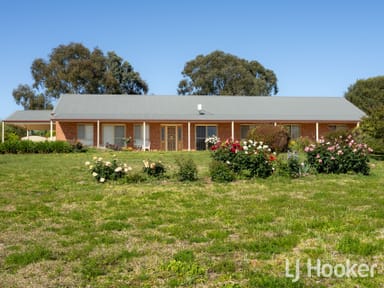 Property 38 Hampton Court, Inverell NSW 2360 IMAGE 0