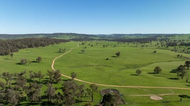 Property 2531 Niangala Road, Walcha NSW 2354 IMAGE 0