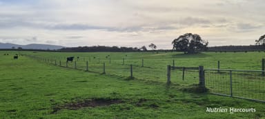 Property 2003 Settlement Road, Napier WA 6330 IMAGE 0