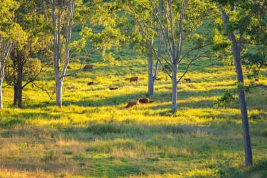 Property 6, Eel Creek Road, LANGSHAW QLD 4570 IMAGE 0