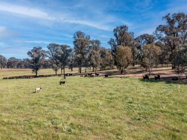 Property Eleven Mile Creek Road, GLENROWAN WEST VIC 3675 IMAGE 0