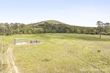 Property 617 Bungundarra Road, Bungundarra QLD 4703 IMAGE 0