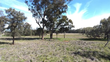 Property Lot 1 Roseholm Road, PEAK HILL NSW 2869 IMAGE 0