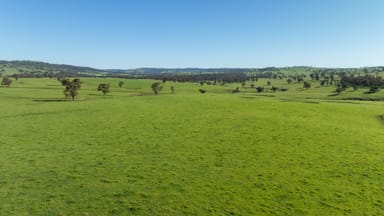 Property 2531 Niangala Road, Walcha NSW 2354 IMAGE 0