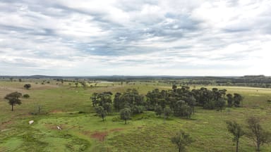 Property "Echo Hills" 2945 Beeron Road, Mundubbera QLD 4626 IMAGE 0