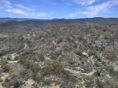 Property Lot 89, 77, 6 Tombong Road, Tombong NSW 2633 IMAGE 0