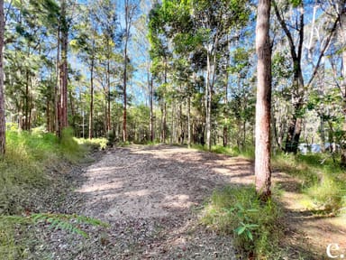 Property 255 Lloyd Road, BARRINE QLD 4872 IMAGE 0