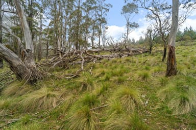 Property Lot 26 Big Jack Mountain Road, Cathcart NSW 2632 IMAGE 0