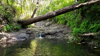 Property 783 Lamington National Park Road, Canungra QLD 4275 IMAGE 0