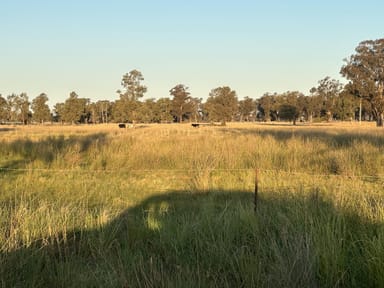 Property Lot 133 Troths Lane, QUANDIALLA NSW 2721 IMAGE 0