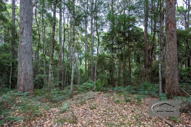 Property Lot Ringle Doddy Road, SOUTH FOREST TAS 7330 IMAGE 0