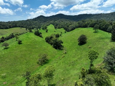 Property 659 Middlebrook Road, Millaa Millaa QLD 4886 IMAGE 0