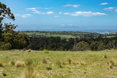 Property 2, 10923 Tasman Highway, Little Swanport TAS 7190 IMAGE 0