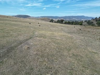 Property LOT 1 Kiewa East Road, Tangambalanga VIC 3691 IMAGE 0