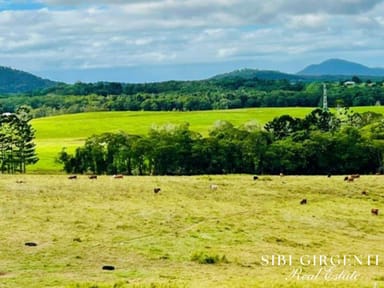 Property 1297 Mt Molloy Street, Mossman QLD 4873 IMAGE 0