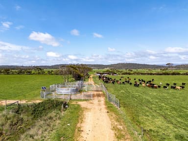 Property Lot 2 Westwoods Road, Rowella TAS 7270 IMAGE 0