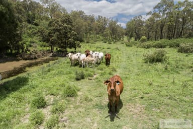 Property "Paradise" Gatton Clifton Road, Mount Whitestone QLD 4347 IMAGE 0