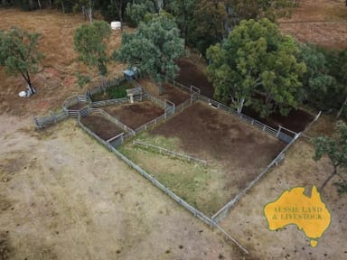 Property .0 Beeron Road, BEERON QLD 4626 IMAGE 0