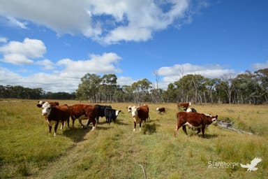 Property 67 Dunn Road, Pozieres QLD 4352 IMAGE 0