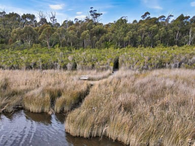 Property 49 Riverview Road, Scamander TAS 7215 IMAGE 0