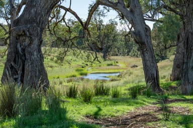 Property 6292 Killarney Gap Road, NARRABRI NSW 2390 IMAGE 0