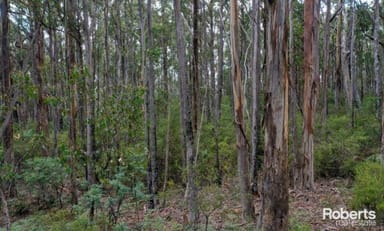 Property 921 Back River Road, Magra TAS 7140 IMAGE 0