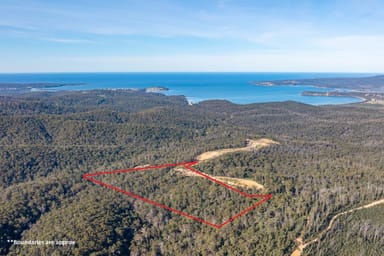 Property 156 Silver Top Crescent, NULLICA Via, Eden NSW 2551 IMAGE 0