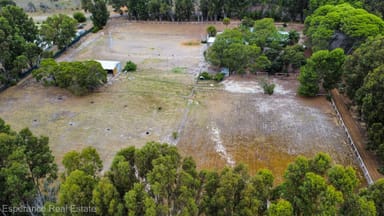 Property 49 Collier Road, Pink Lake WA 6450 IMAGE 0