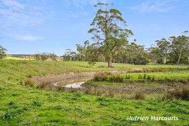 Property 1 Doreys Road, Scotts Creek VIC 3267 IMAGE 0