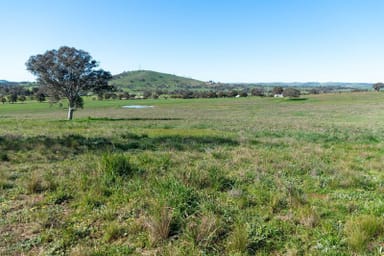 Property Lot 22 Donohoe's Estate, BOOROWA NSW 2586 IMAGE 0