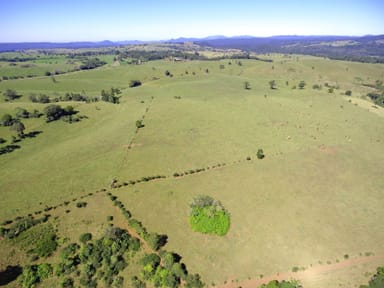 Property Millaa Millaa QLD 4886 IMAGE 0