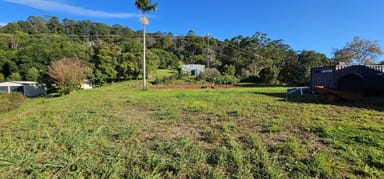 Property 1005 Tuntable Creek Road, Tuntable Creek NSW 2480 IMAGE 0