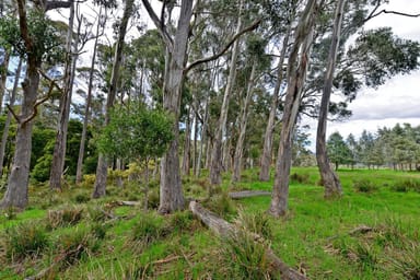 Property 8415 Lyell Highway, Ouse TAS 7140 IMAGE 0