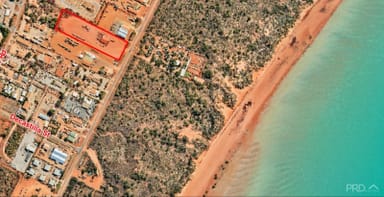 Property 250 Port Drive, Minyirr WA 6725 IMAGE 0