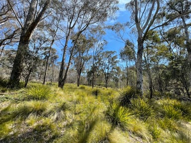 Property 925 Marked Tree Road, Gundaroo NSW 2620 IMAGE 0