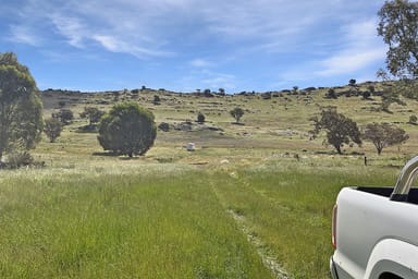 Property Mount Darling Road, Wyangala NSW 2808 IMAGE 0