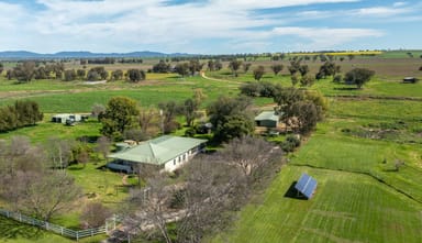 Property 88 Lower Somerton Road, ATTUNGA NSW 2345 IMAGE 0