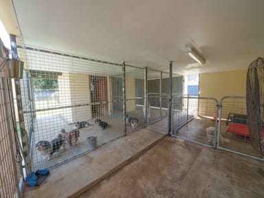 Property 419-423 Karrabin Rosewood Road, WALLOON QLD 4306 IMAGE 0