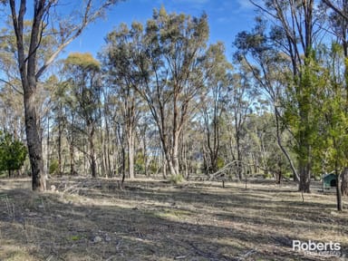 Property null, 21 Craigbourne Road, Colebrook TAS 7027 IMAGE 0