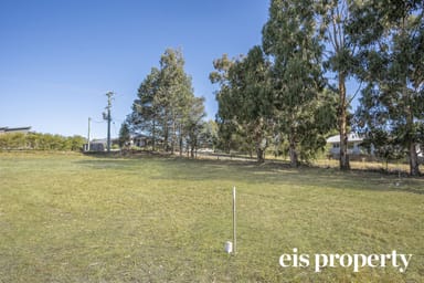 Property 5, 24 Silver Hill Road, CYGNET TAS 7112 IMAGE 0